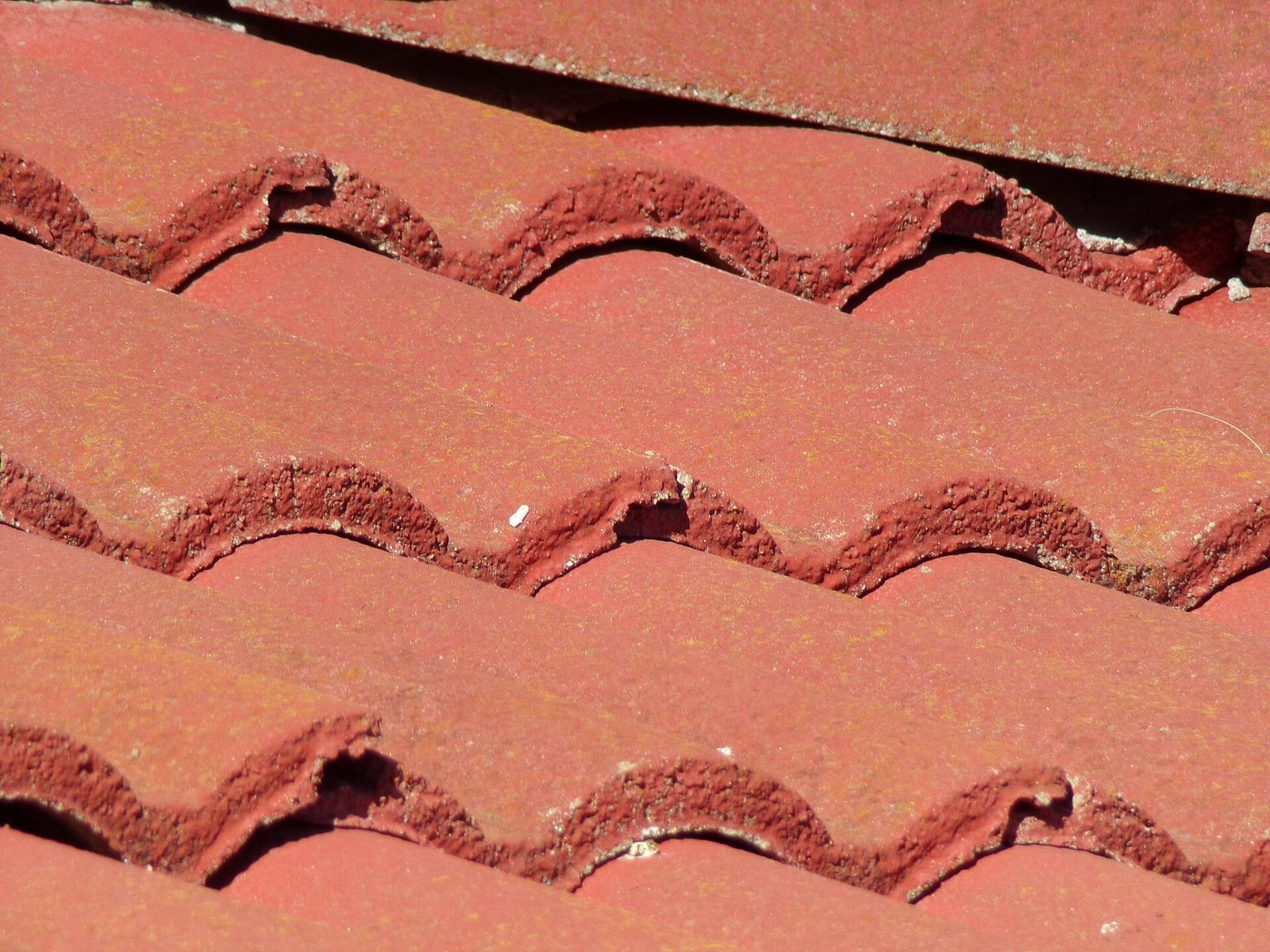 Dachówka ceramiczna na dachu, zbliżenie